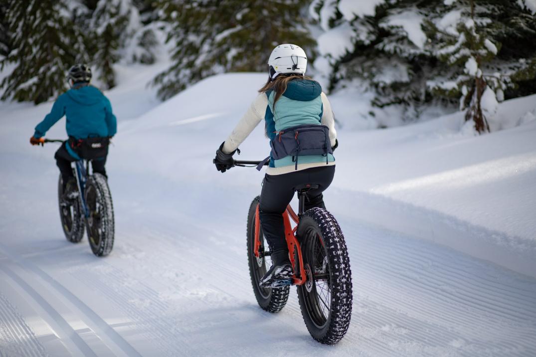 Location Image for DRT 4.1 Fat-Tire Mountain Bike