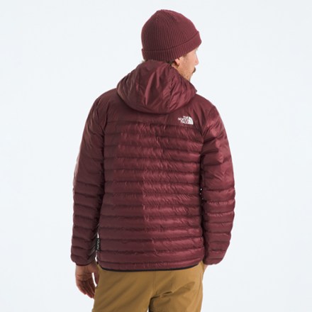 The North Face Terra Peak Insulated Hoodie - Men's 2
