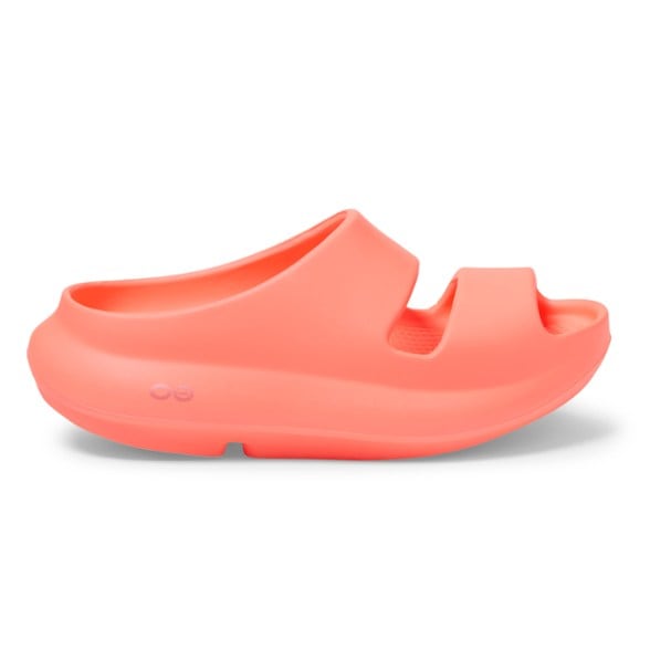 Product Image of color Sunburst