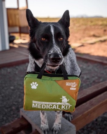Adventure Medical Kits ADS Trail Dog First Aid Kit 5