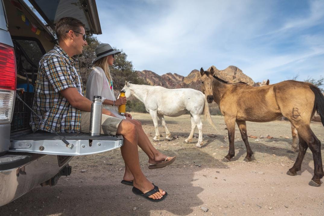 Location Image for Classic Insulated Water Bottle - 20 fl. oz.