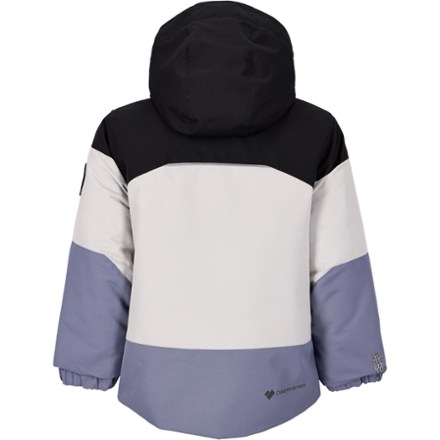 Obermeyer Altair Insulated Jacket - Toddlers' 3