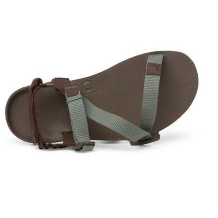 Xero Barefoot Shoes Mens Z-Trail EV Green Strappy Adjustable Sport Sandals NEW FINAL SALE Xero Z-TRAIL EV Men main image 4