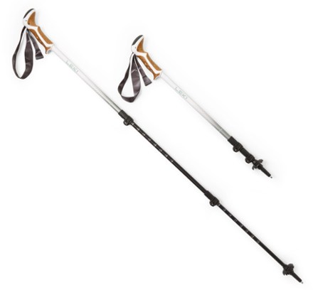 TrailBuddy Collapsible Hiking Poles for Kids - Pack of 2 Trekking Poles for  Hiking, Camping & Backpacking - Lightweight, Adjustable Aluminum Walking