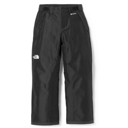 The North Face GTX Hex Snow Pants - Women's 3