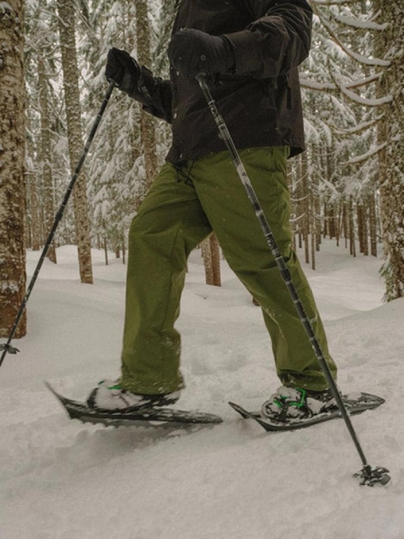 Location Image for Flex RDG Snowshoes