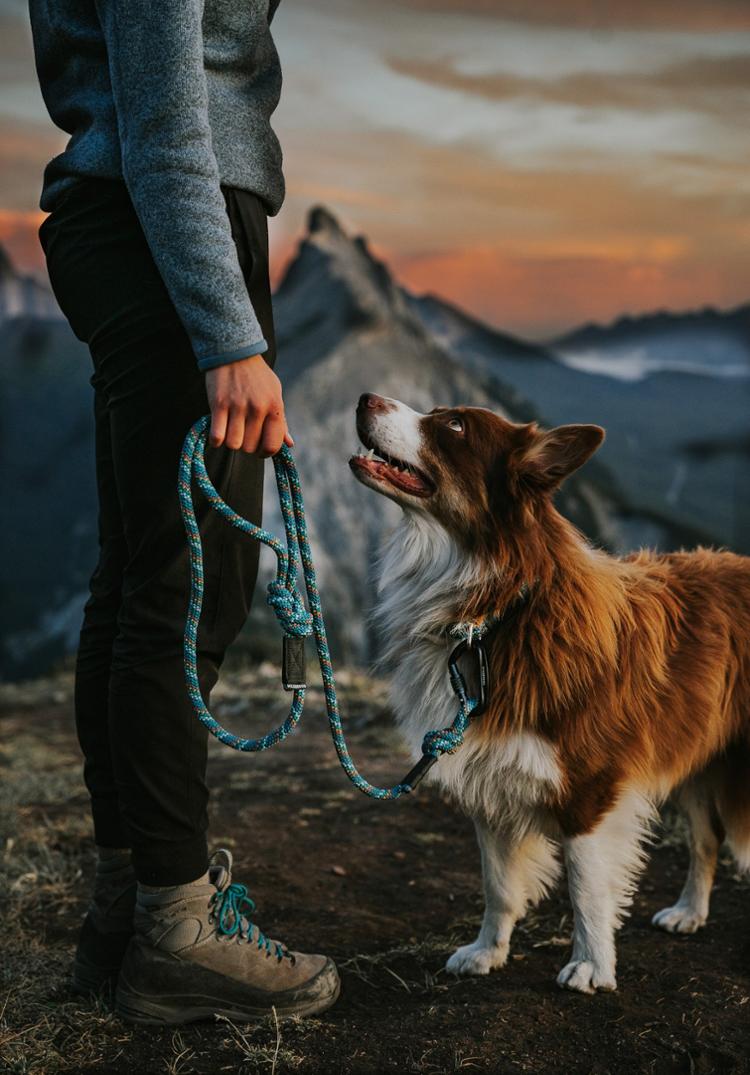 Location Image for Rope Reflective Leash