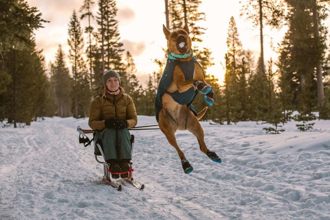 Location Image for Vert Jacket