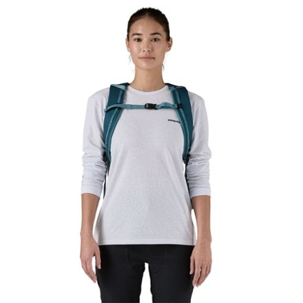 Patagonia Black Hole Pack - 25 L 3