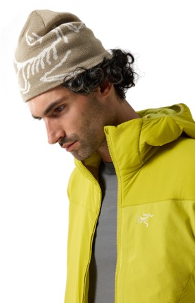 Arc'teryx Bird Head Toque Beanie 3