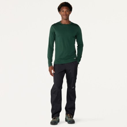 REI Co-op Merino 250 Long-Sleeve Crew Base Layer Top - Men's 3