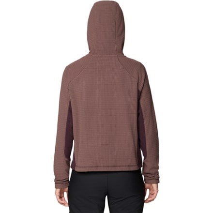 Mountain Hardwear Summit Grid Half-Zip Hoody - Women's 1