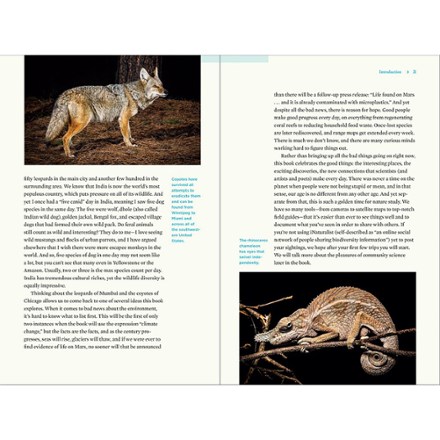 Timber Press Nature At Night: Discover the Hidden World That Comes Alive After Dark 2