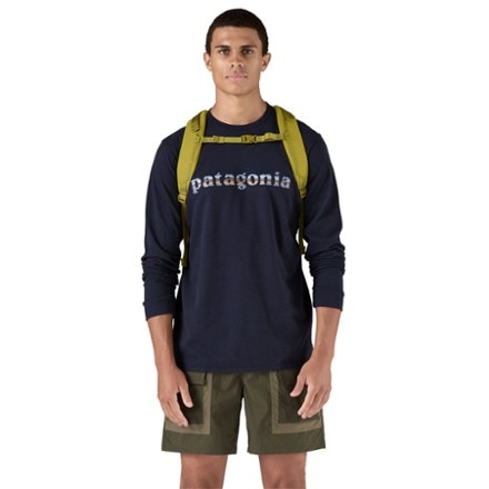 Patagonia Refugio 30L Pack 2