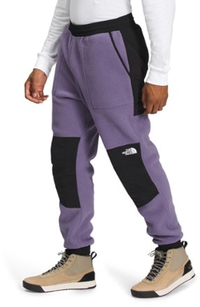 The North Face Denali Fleece Pants - Men's 2
