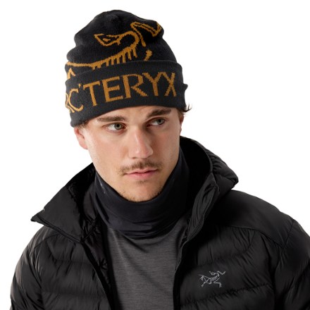 Arc'teryx Rho Neck Gaiter Long 4