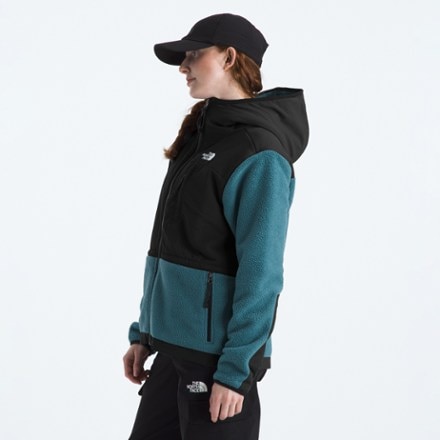 The North Face Retro Denali Hoodie - Women's 4