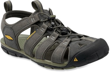 Raven/Tortoise Shell