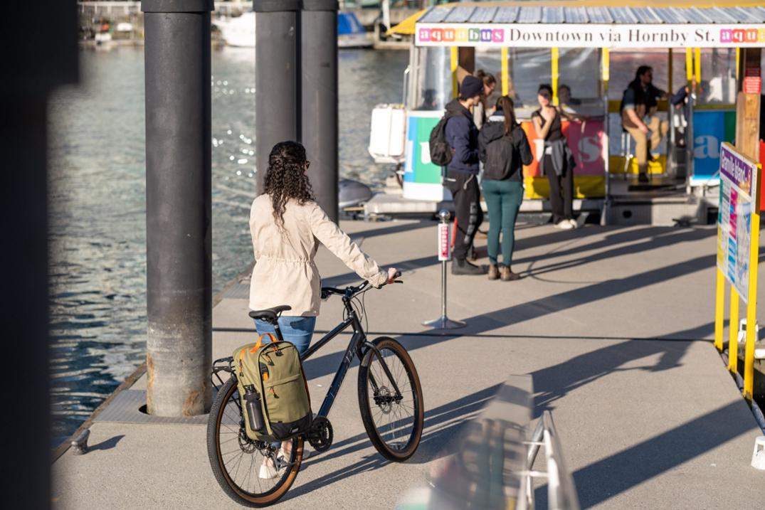 Location Image for Pannier Pack Convertible PLUS