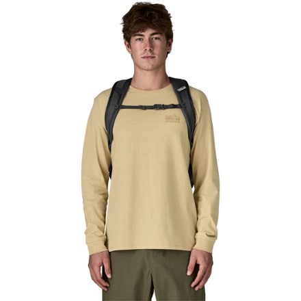 Patagonia Refugio 30L Pack 5