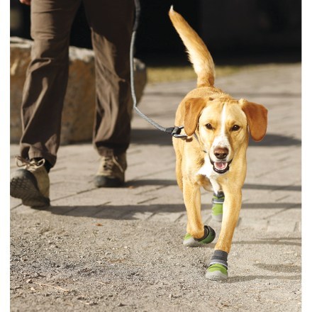 In-Use (Forest Green)