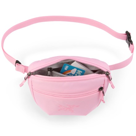 Arc'teryx Mantis 1 Waistpack | REI Co-op