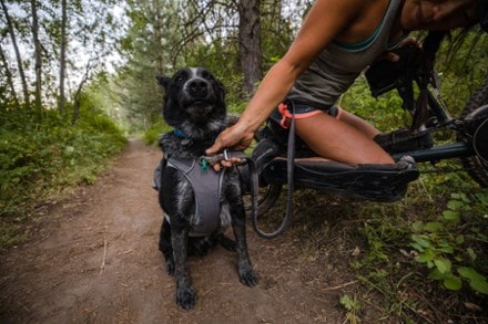 Ruffwear Switchbak Dog Harness 10