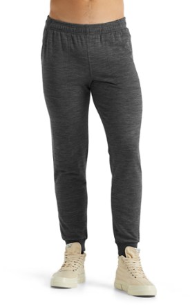 Icebreaker Shifter Pants - Men's 0
