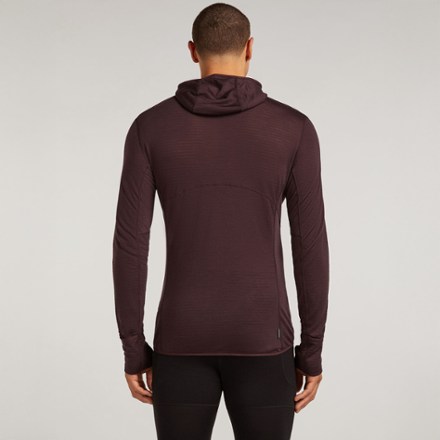 Icebreaker 200 Descender Long-Sleeve Zip Hoodie - Men's 2