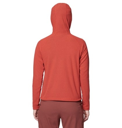 Mountain Hardwear Summit Grid Half-Zip Hoody - Women's 1