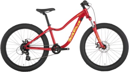 Salsa Timberjack 24 SUS Plus Kids' Bike