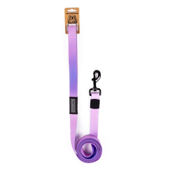 Product Image of color Aurora