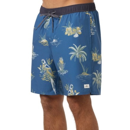 O'Neill Hermosa Light Lined Volley 17" Swim Shorts - Men's 2