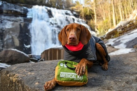 Adventure Medical Kits ADS Me And My Dog First Aid Kit 3