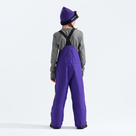 The North Face Freedom Insulated Bib Snow Pants 1