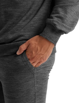 Icebreaker Shifter Pants - Men's 2