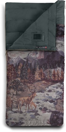 north face twin sleeping bag