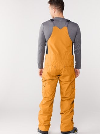Picture Organic Clothing Testy Bib Snow Pants - Men's 2
