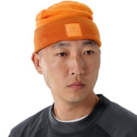Arc'teryx Color Block Toque | REI Co-op