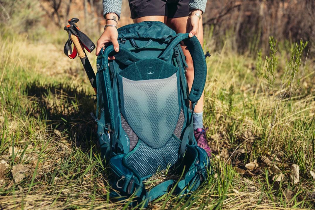 Location Image for Maven 68 Pack - Women's