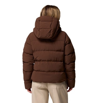 Columbia Amaze Puff Down Hooded Jacket - Women's 1