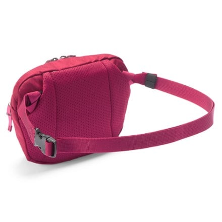 Arc'teryx Mantis 1 Waistpack 3
