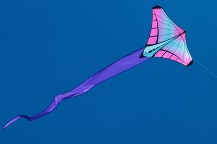 Prism Designs Mantis SingleLine Kite at REI