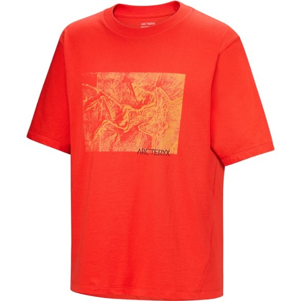 Product Image of color Dynasty