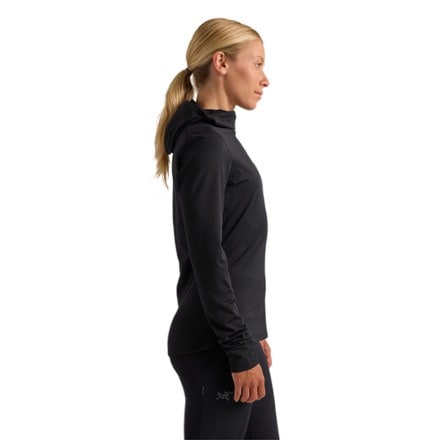 Arc'teryx Rho Hoody Base Layer Top - Women's 4