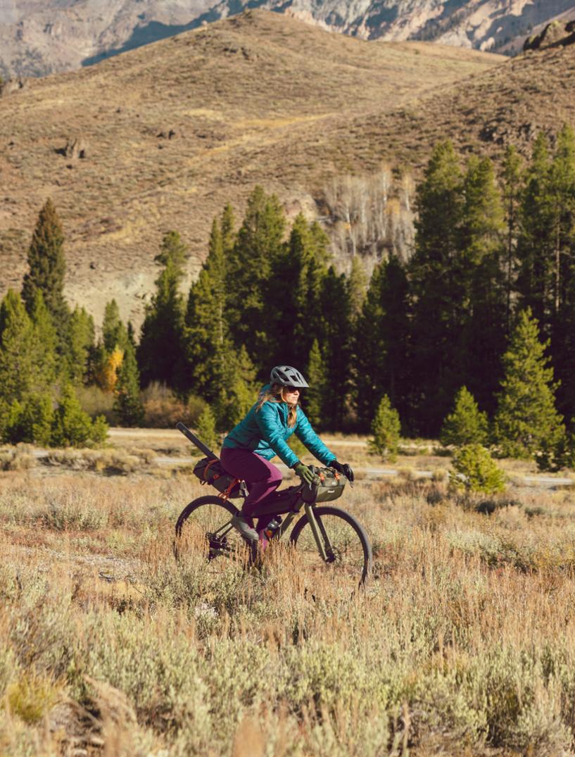 Location Image for Link Frame Bag