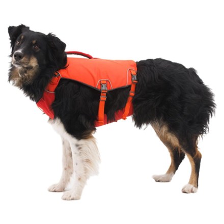 Ruffwear Confluence Dog Life Jacket | REI Co-op