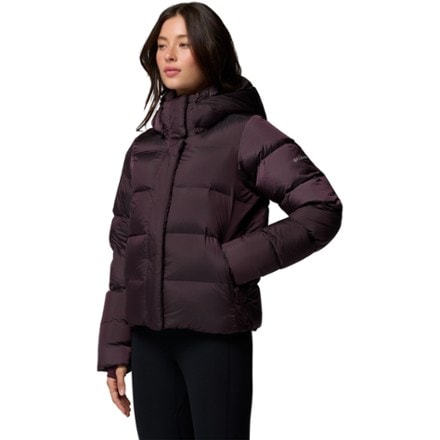 Columbia Amaze Puff Down Hooded Jacket - Women's 6