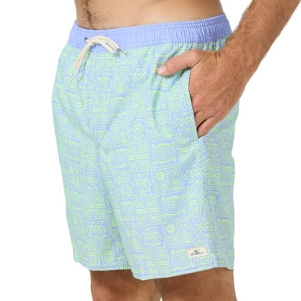 O'Neill Hermosa Lined 17" Swim Trunks - Men's 3