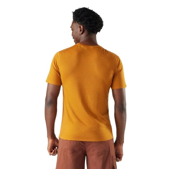 On Body Image of color Squash